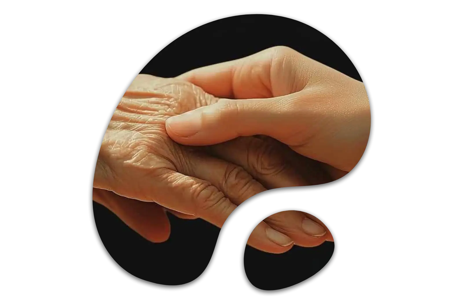 شركة جوميرا