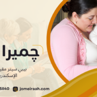 بيبي سيتر مقيمة في الإسكندرية